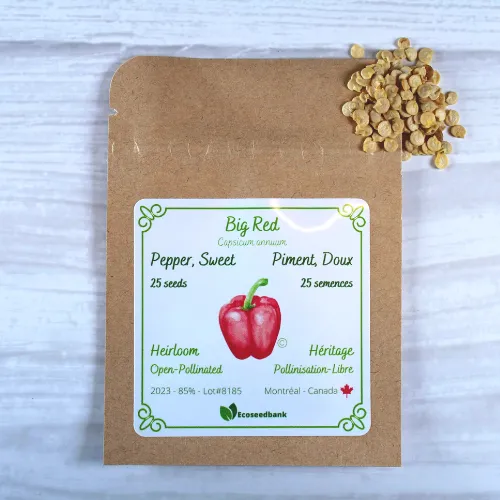 Big Red Pepper Seeds