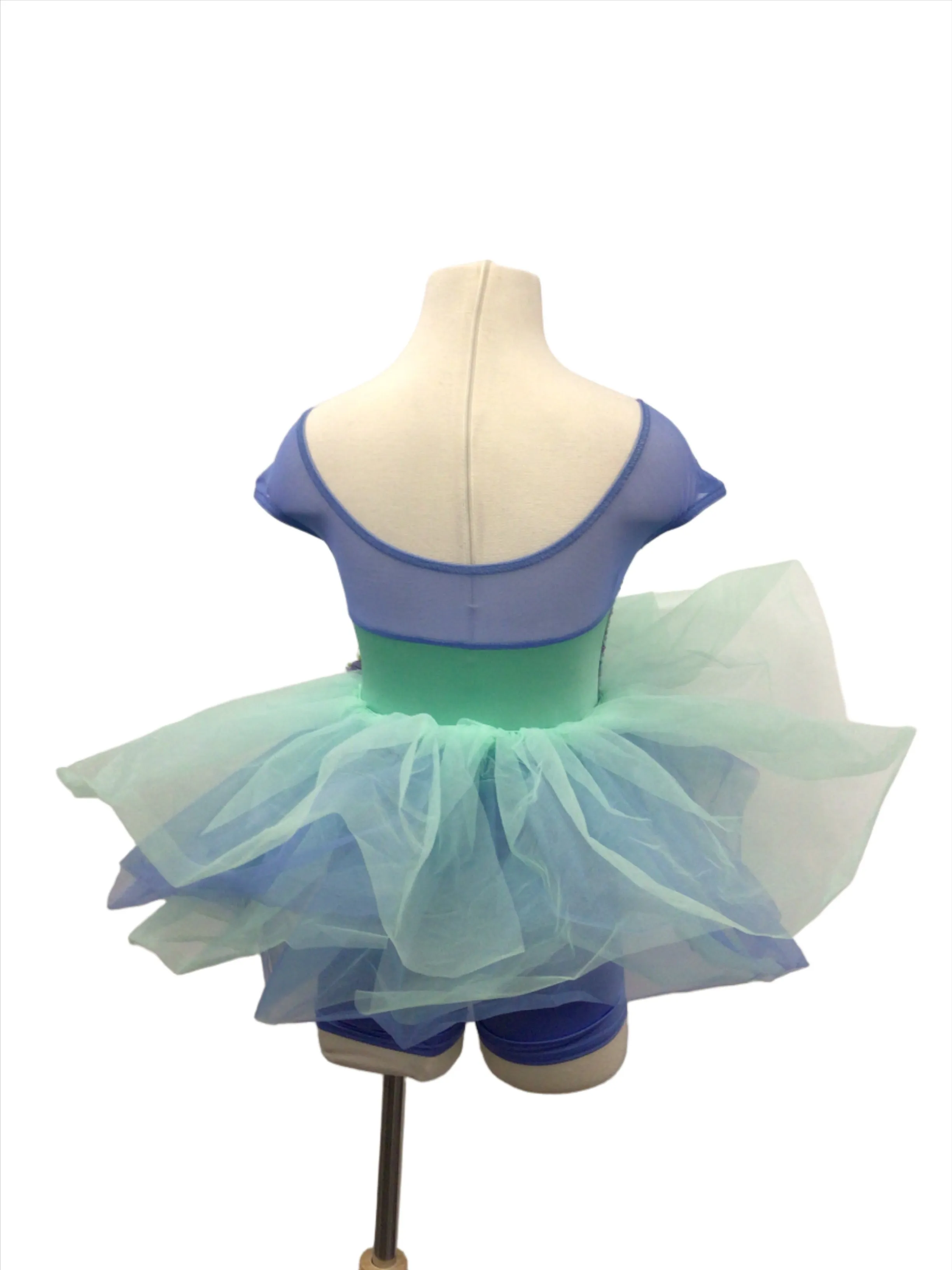 Blue Biketard with Fringe Skirt and Blue Tutu