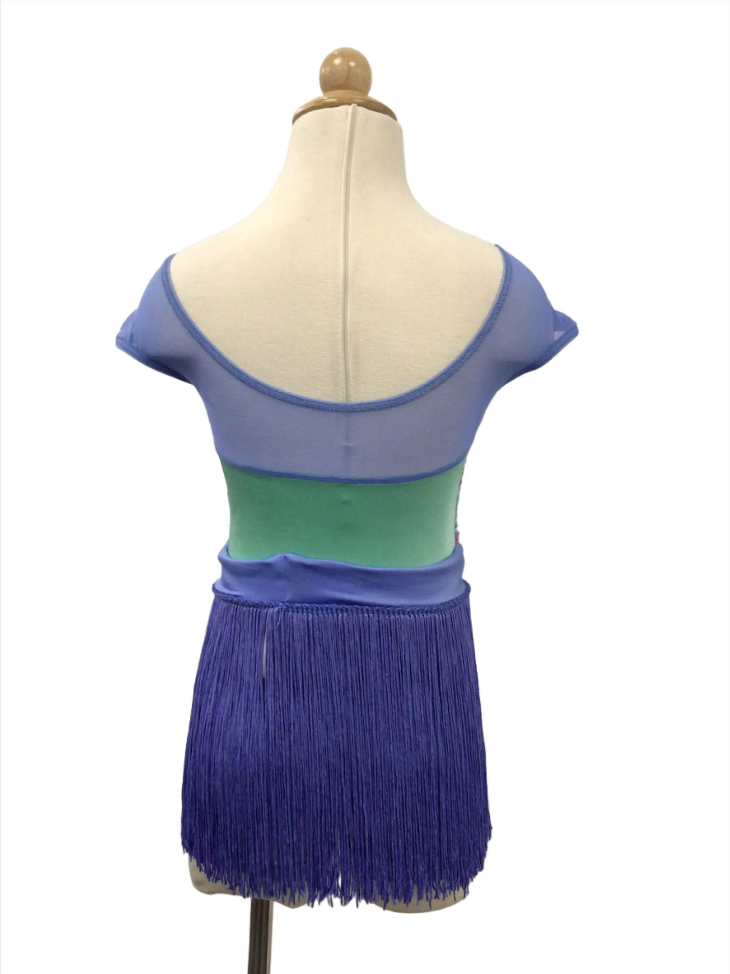 Blue Biketard with Fringe Skirt and Blue Tutu