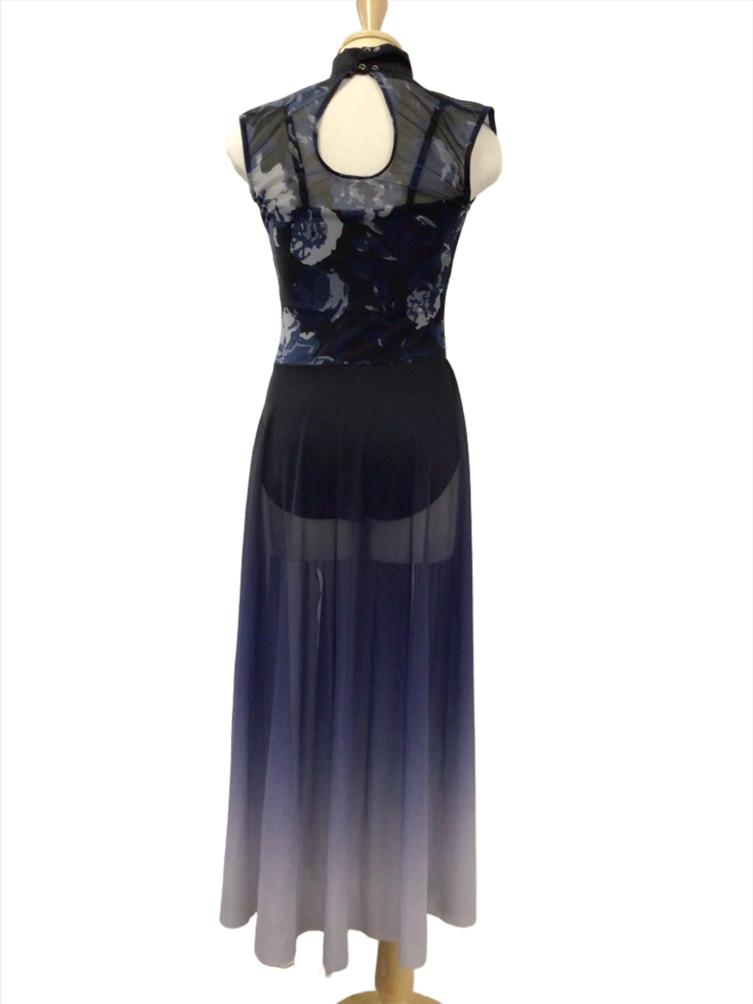 Blue Rose Full Length Lyrical Dress
