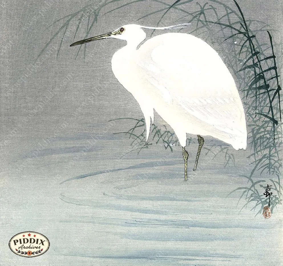 PDXC19519 -- Japanese Egret