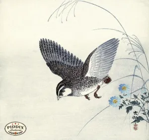 PDXC19620 -- Japanese Bird and Flowers