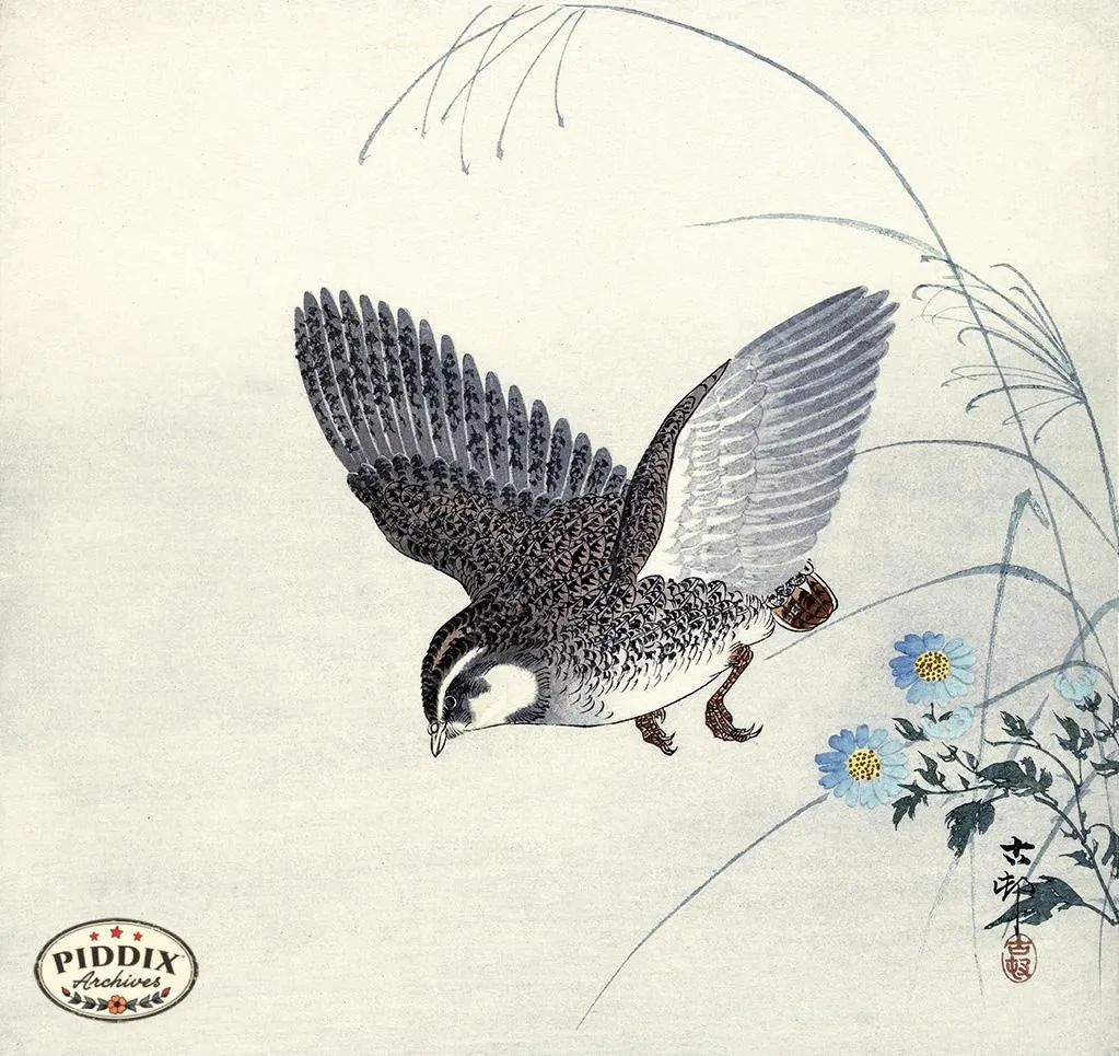 PDXC19620 -- Japanese Bird and Flowers
