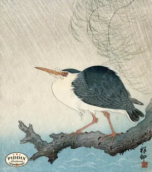 PDXC19659 -- Japanese Bird