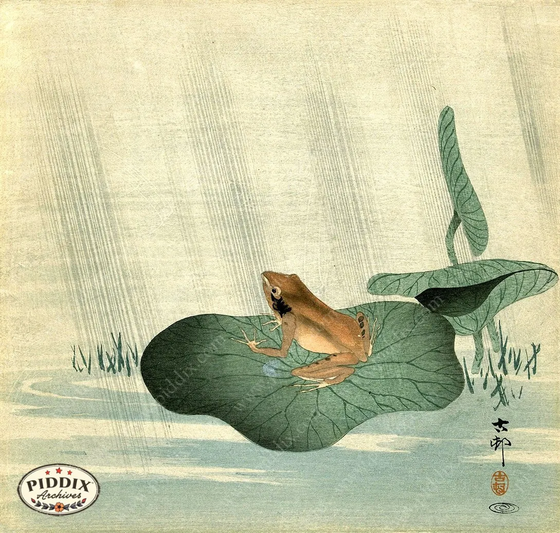 PDXC19672 -- Japanese Frog
