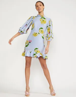 Tayla Ruffle Mini Dress